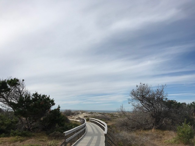 beach path