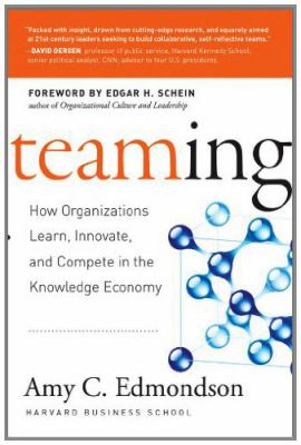 Teaming - How Organizations Learn, Innovate, And Compete In The Knowledge Economy (2012)