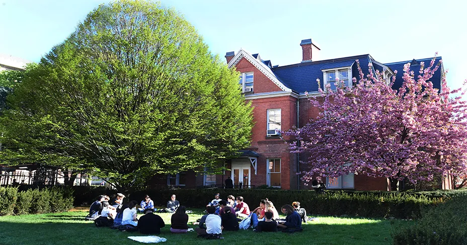 sunny day people seated in a circle on campus lawn fully bloomed green tree, cherry blossomed tree and red brick building in the background
